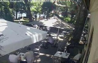 Çınardan kopan dal can aldı: O anlar kamerada