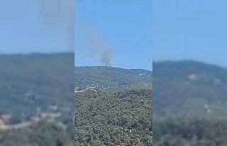 Çine’de orman yangını