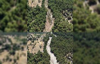 Çine’de orman yangınlarına karşı önleyici...