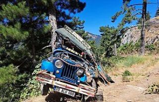 Cip şarampole uçtu, 3 kişi yaralandı