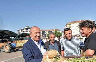 Coğrafi işaretli Taşköprü sarımsağı pazara...