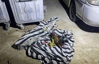 Çöp konteynerindeki yangın sonrası köpeğin telef...