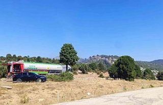 Çöplükte başlayan yangın ormana sıçradı