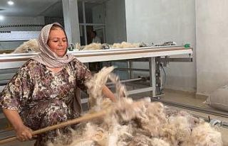 Çöpten topladığı yünlerle iş kurdu