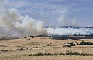 Çorum’da tarlada çıkan yangında 200 dönüm...