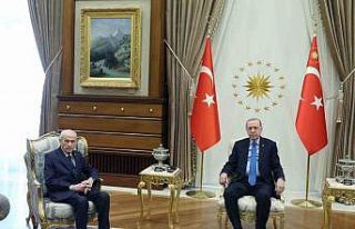Cumhurbaşkanı Erdoğan, MHP Genel Başkanı Bahçeli...