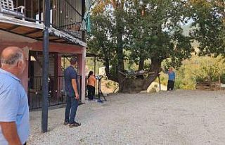 Dallarıyla "Allah" lafzı yazılı asırlık...