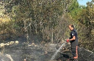 Darende’de bahçe yangını