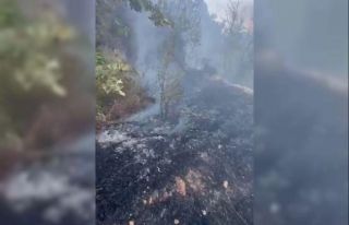 Datça’da kuru ot yangını korkuttu