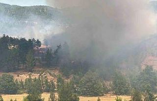 Denizli’de orman yangını