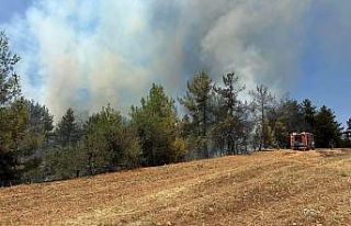 Denizli’de saman basma makinasından başlayan yangın...