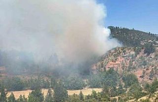 Denizli’deki orman yangını kısmen kontrol altına...