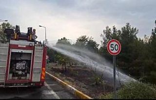 Dicle Üniversitesi’ndeki örtü yangını söndürüldü