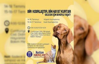 Didim Belediyesi’nden sokak hayvanlarına ücretsiz...