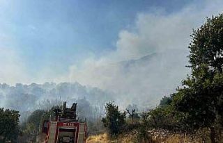 Diyarbakır’da çıkan orman yangınına 9 saattir...