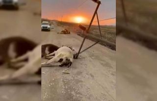 Diyarbakır’da fırtına elektrik direğini devirdi,...