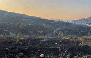 Diyarbakır’da merada başlayan yangın ormanlık...