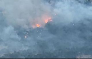 Diyarbakır’da ziraat arazisinde başlayıp ormanlık...