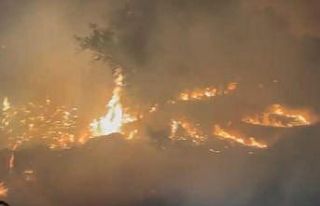 Diyarbakır’ın Ergani ve Lice ilçelerindeki yangın...