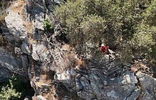 Doğa yürüyüşü yaparken kaybolan Rus turist kurtarıldı