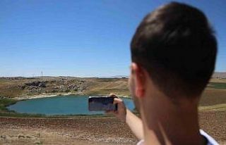 Doğanın gözlerinde kene sessizliği