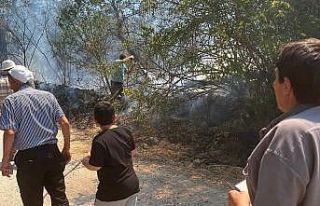 Domaniç’te bahçelik alanda çıkan yangın kısa...