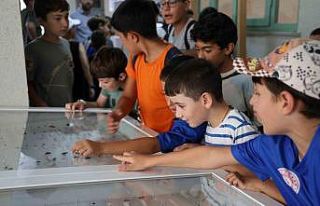 Dondurulmuş hayvan müzesine büyük ilgi