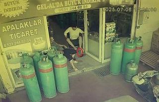 Dükkana giren yılan, esnafı sokağa fırlattı