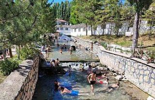 Dünyaca ünlü ‘doktor balıklar’ mührün kaldırılmasını...