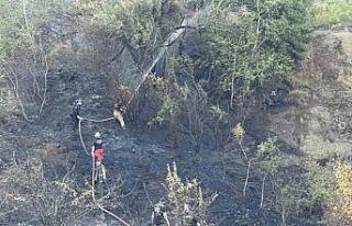 Düzce-Sakarya sınırındaki orman yangını kontrol...