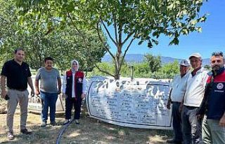 Düzce’de üretilen dondurma kavunları Antalya...