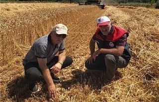 Düzce’de verimli hasat için yerinde denetim