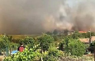 Edirne’de 30 dönümlük buğday tarlası alev alev...