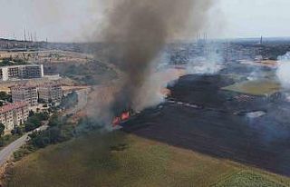 Edirne’de anız yangını yerleşim bölgesine metreler...