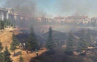 Edirne’de çıkan yangın tarihi tabyaya zarar verdi