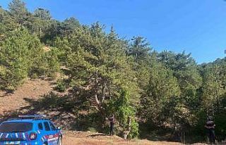 Eğirdir’de ormanlık alanlarda sıkı denetim