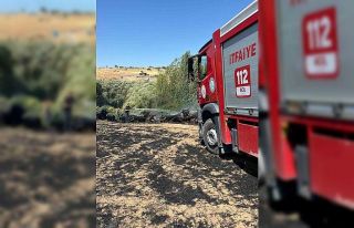 Ekin yangınına itfaiye ekipleri müdahale etti