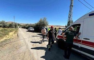 Elazığ’da araç direğe çarptı: 1 yaralı