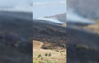 Elazığ’da arazi yangını