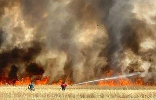 Elazığ’da arazi yangını: Ekili alanlar da küle...