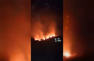 Elazığ’daki örtü yangını söndürüldü