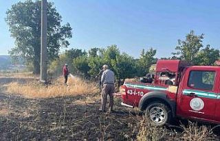 Elektrik akımına kapılan kuş yangına neden oldu