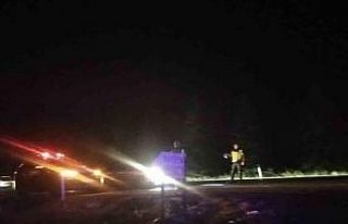 Elektrik tellerine çarpan kuş yangına sebep oldu