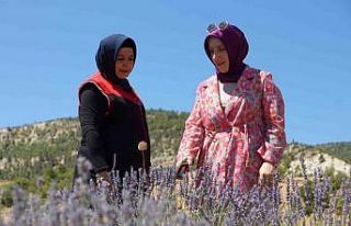 Emekli olup döndüğü köyünde lavantadan sonra...