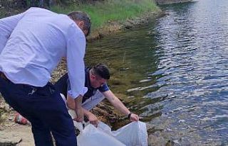 Emet’te baraj ve göletlere 40 bin 700 aynalı sazan...