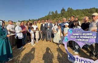 Endemik mavi kelebekler için Saimbeyli’ye akın...