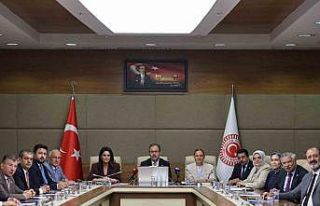 Engelli Bireylerin Sorunlarını Araştırma Komisyonu...