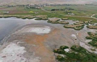 Erçek Gölü’nün kıyıları kuruyor: Uzmanlar...