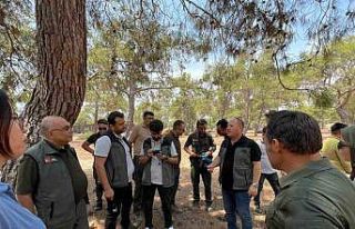 Erdemli Orman İşletmesinde ’Yenilikçi Barkod...