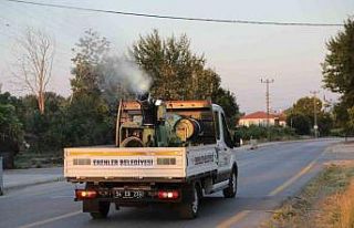 Erenler’de ilaçlama çalışmaları titizlikle...
